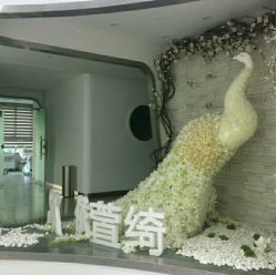 -依萱绮医疗美容