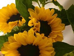 -盒马鲜生(馥邦国际店)