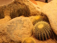 -OUR Bakery(SKP-S店)