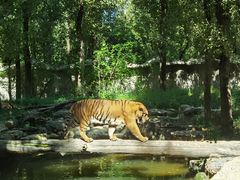 -北京野生动物园