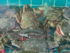 -锅老头铁锅炖•大锅蒸汽海鲜(韩乐坊店)