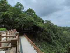 -广州市帽峰山景区
