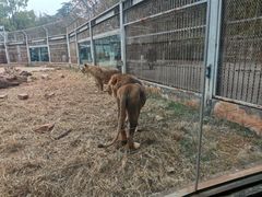 -昆明动物园