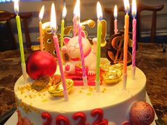 -维尔纳斯·生日蛋糕动物奶油冰淇淋蛋糕(人大店)