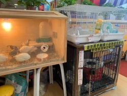 -汇乐童儿童主题乐园(李老社区商业中心店)