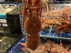 -东海怡品海鲜豆捞(星街坊店)