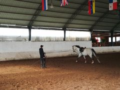 -月河湾马术俱乐部(朝阳店)