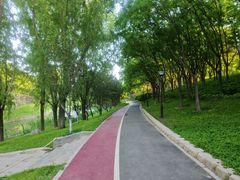 -大望京公园