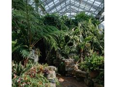 -国家植物园南园