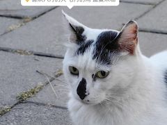 -天坛公园