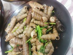 -徐嘉赫龙虾馆