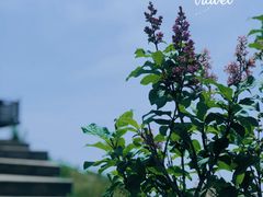 -白草畔自然风景区