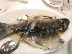 油盐蒸鲩鱼-围龙屋客家食府(福田店)