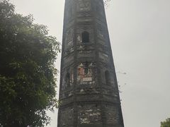 -上海佘山国家森林公园天马山园