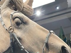 -秦始皇帝陵博物院(兵马俑)