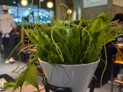 大堂-东椰·海南椰子鸡火锅(朝阳门店)