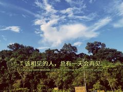 -宝安西湾红树林湿地公园