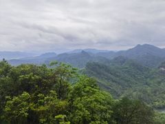 -九曲溪竹筏码头