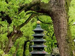 -普陀山风景名胜区-法雨禅寺