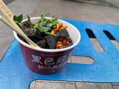 -黑色经典臭豆腐·湖南特产(潇湘文化店)