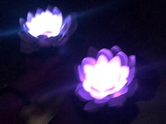 -舟山朱家尖威斯汀酒店·知味标帜自助餐厅