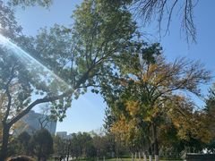-西海子公园