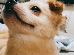 -热度餐厅(老佛爷店)