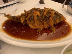 老济南糖醋鲤鱼-金春禧(世茂国际广场店)