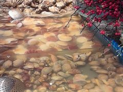 -一方渔歌蒸汽海鲜自助(文化路万达广场店)