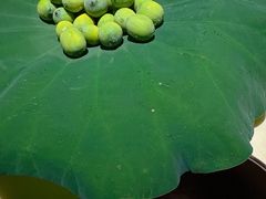 -桂语山房(满觉陇店)