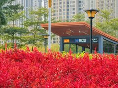 -诚毅广场(地铁站)