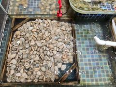 -天盛海鲜烧烤大排档·本地小海鲜·牟平腿穗子(幸福店)