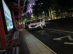 -西双版纳集贸市场