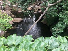 -老张烤羊(王哥庄店)