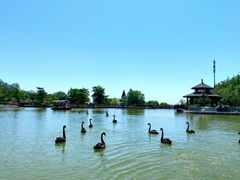 -静之湖度假区