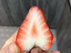-华盛果品大卖场(黄桦路店)