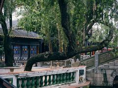 -宝墨园景区
