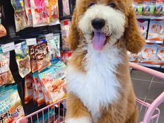 -萌兽医馆·眼科·异宠专科(三里屯店)