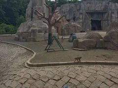 -哈尔滨北方森林动物园