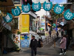 -猫咪博物馆(顶澳仔猫街店)