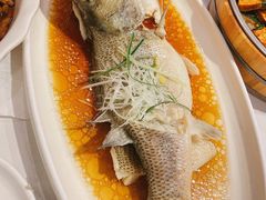 葱香鲈鱼爽-刘胖子家常菜·蹄花焖藕(中南店)