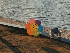 -美兰湖景区