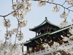 -南京城墙景区