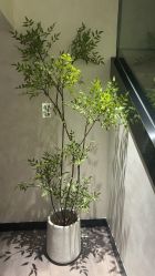 -爱小熊轻医美
