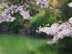 -白马涧龙池景区