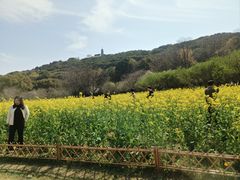 -苏州上方山国家森林公园