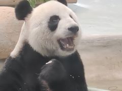 -柳州市动物园