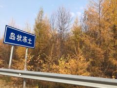 -五营红松林海景区