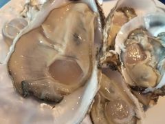 -千岛蚝高压锅生蚝·人参火锅(白云万达店)