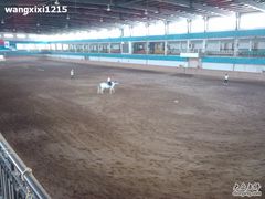 -北京长城阳光山谷马术俱乐部